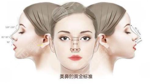 *拍片都什么名字(*拍片主要检查什么)